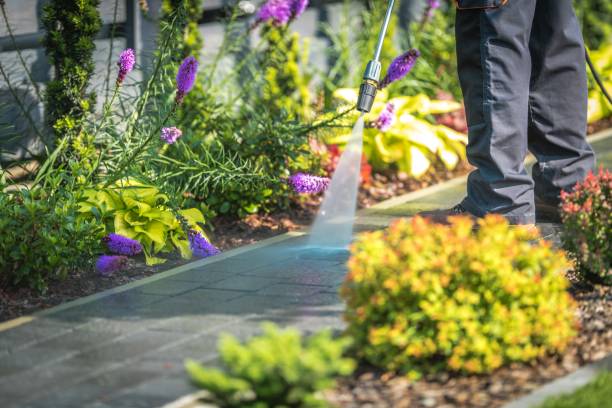 Best Driveway Pressure Washing  in Minoa, NY